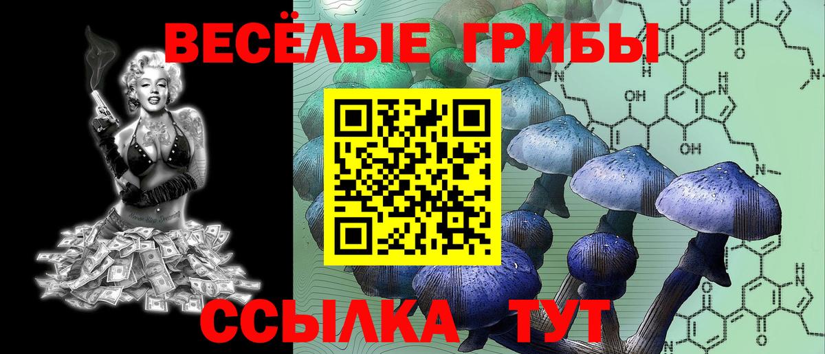 цена наркотик  Вход с VPN  Сафоново  Галлюциногенные грибы Psilocybe 