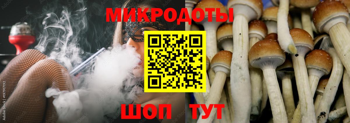 Псилоцибиновые грибы Magic Shrooms Сафоново